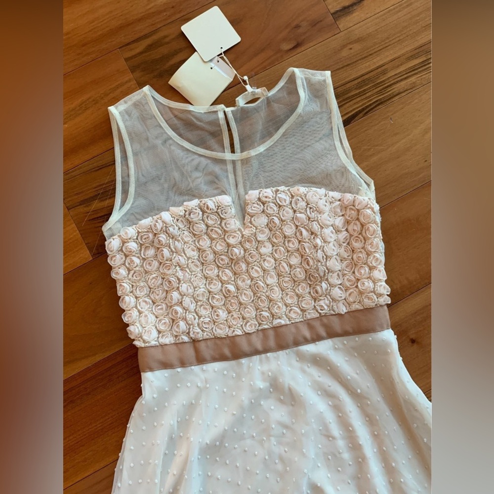 Anthropologie RYU A-line Tulle Dress with RoseBud Corset & Illusion Neck